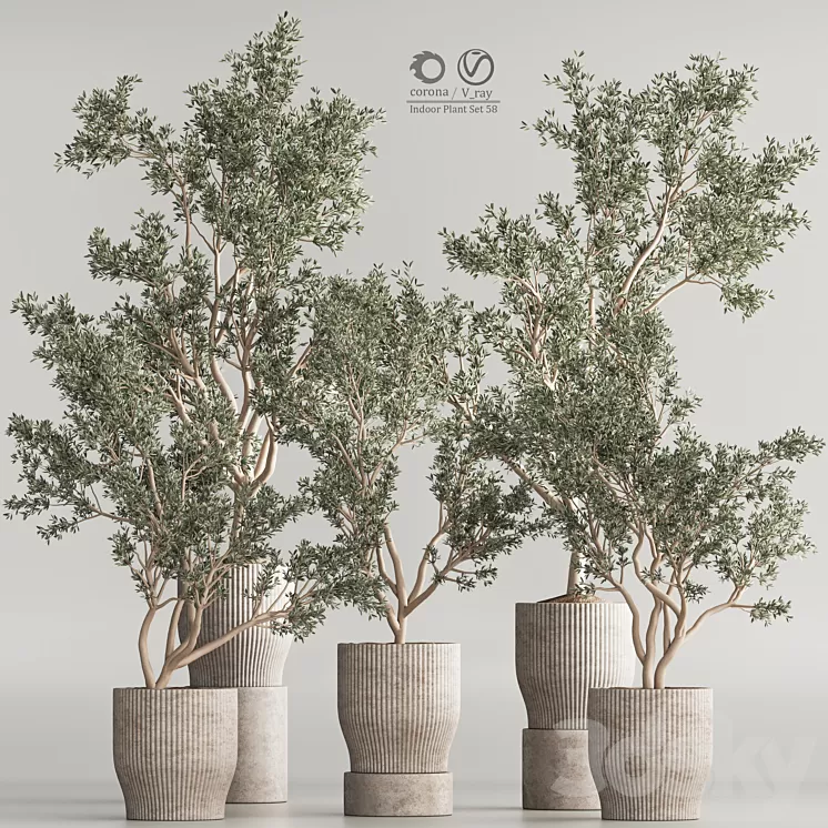 Indoor Plant Set 58 3D Model Free
