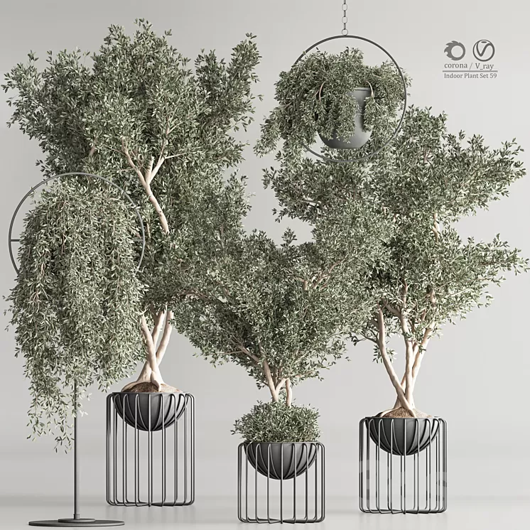 Indoor Plant Set 59 3D Model Free
