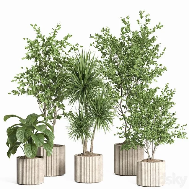 Indoor plant set 59-Concrete pot 3D Model