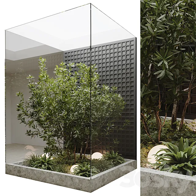 indoor plant set 60 Free Download