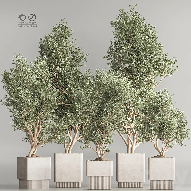Indoor Plant Set 65 3D Model Free
