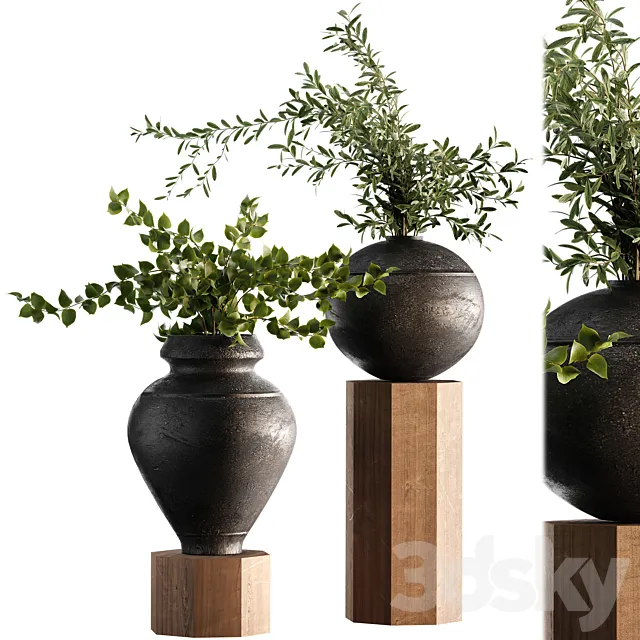Indoor Plant Set 65 3D Model