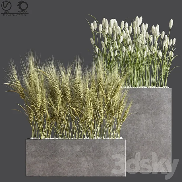 Indoor Plant Set 66 3DModel