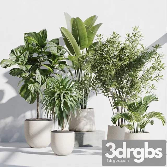 Indoor plant set 66