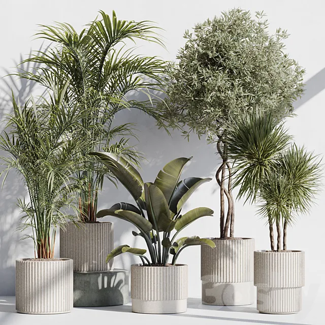 indoor plant set 69 3D Model