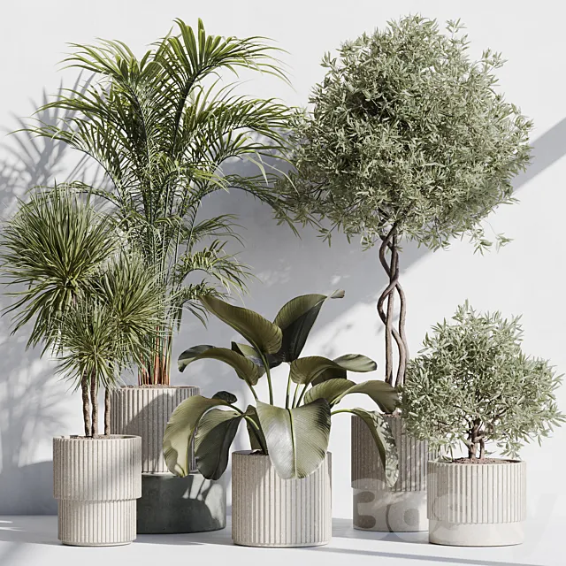 indoor plant set 71 3D Model