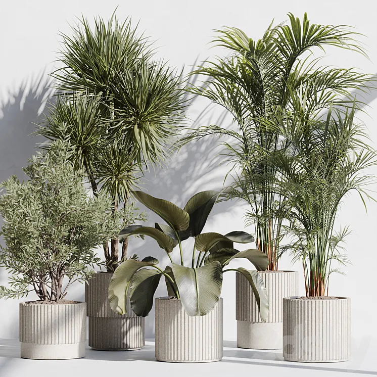 indoor plant set 72 3D Model Free