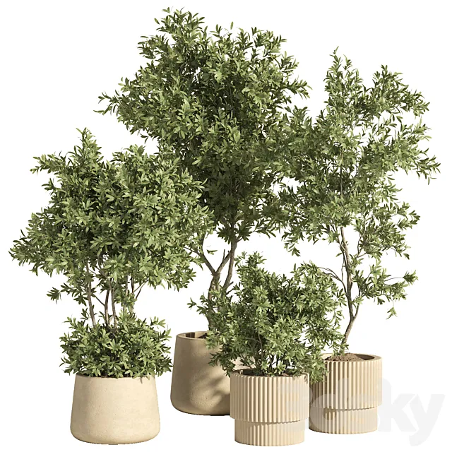 indoor plant set 74 3D Model