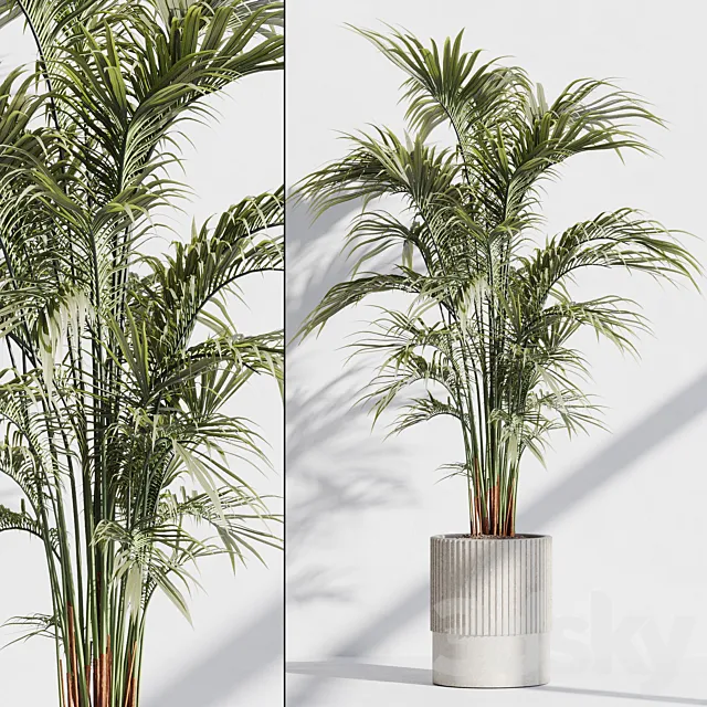indoor plant set 76 3D Model