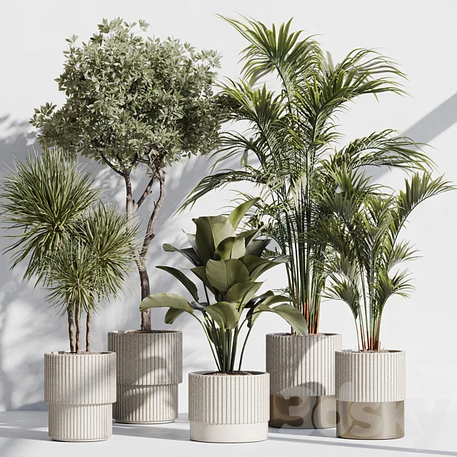 indoor plant set 78 3D Model