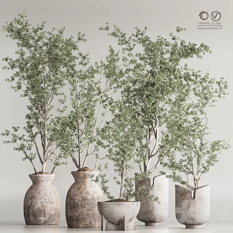 Indoor Plant Set 79 3D Model Free