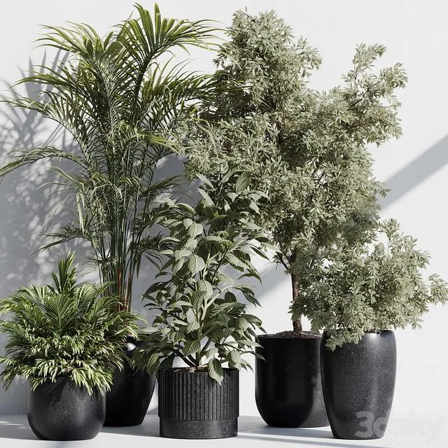 indoor plant set 85 3D Model