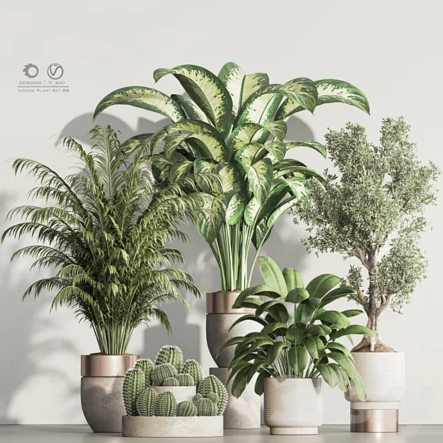 Indoor Plant Set 88 3D Model