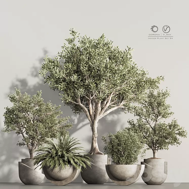 Indoor Plant Set 94 3D Model Free