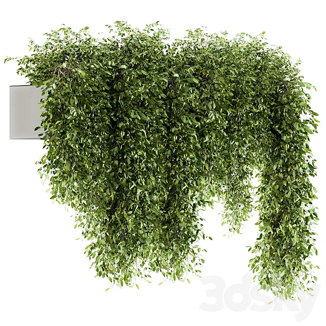 indoor Plant Set 98 - Hanging Plants 3D Model