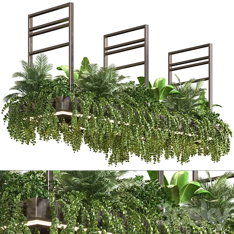 Indoor Plant Vol2 - hanging pot Vol2 3D Model