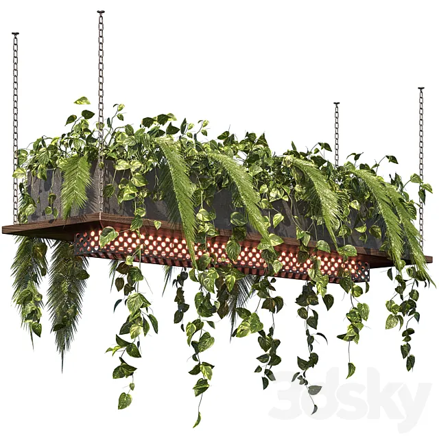 Indoor Plant Vol3 - hanging pot Vol3 3D Model