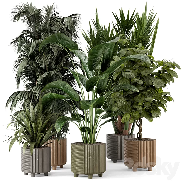Indoor Planters in Cecilia Ficonstone Pot - Set 349 3D Model Free