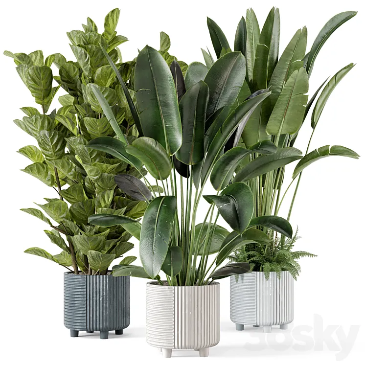 Indoor Planters in Cecilia Ficonstone Pot - Set 409 3D Model Free