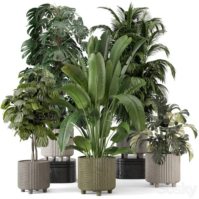 Indoor Planters in Cecilia Ficonstone Pot - Set 969 3D Model