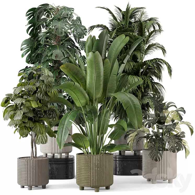 Indoor Planters in Cecilia Ficonstone Pot - Set 969 3D Model Free