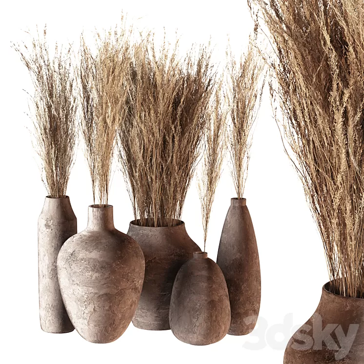 Indoor plants 01 - Pampas set in Pottery Pots 3D Model Free