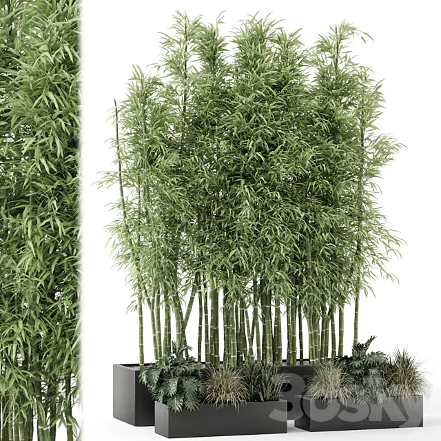 Indoor Plants Bamboo Set in rusty Concrete Pots - Set 1894 3D Model