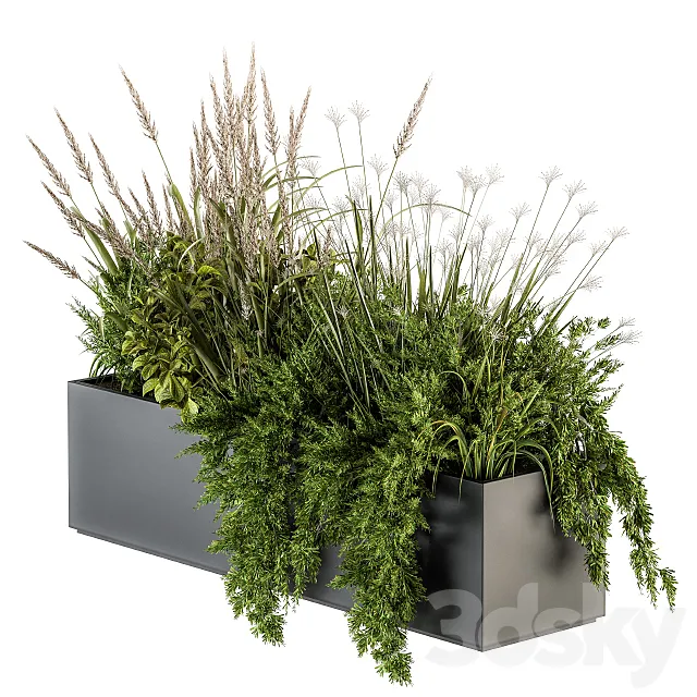 Indoor Plants Box - Set 152 3D Model