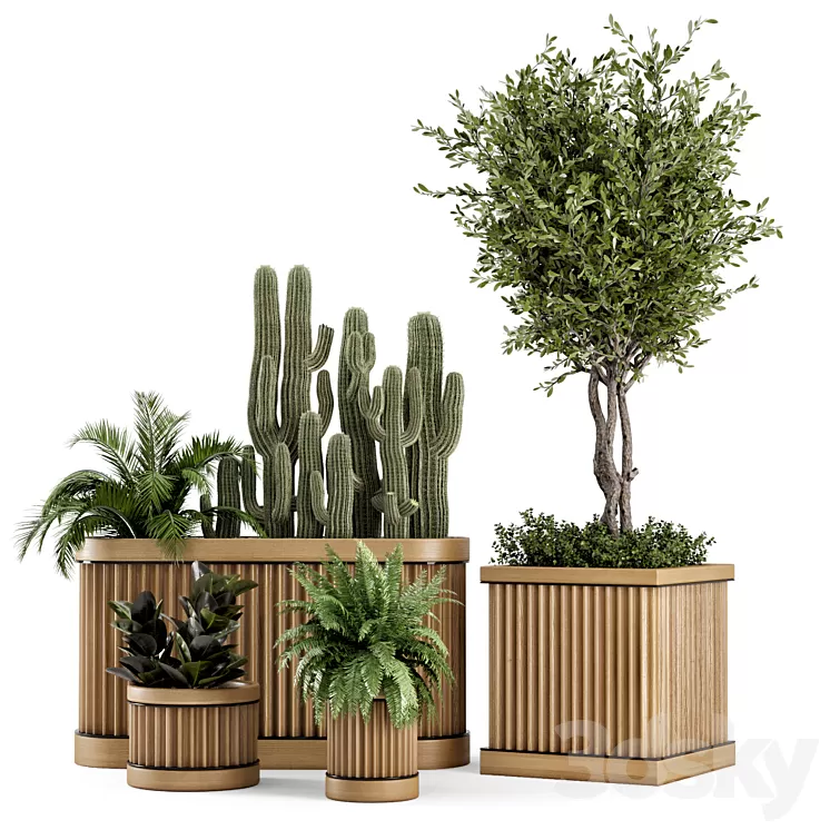 Indoor Plants Bush and Tree in Wooden Pot - Set 401 3D Model Free