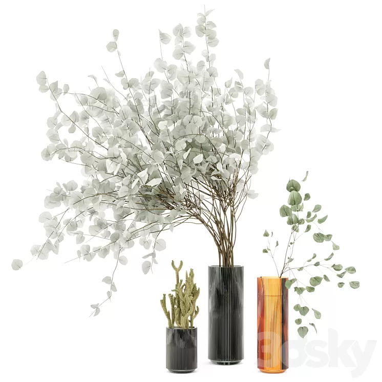 Indoor Plants Cactus & Eucalyptus whit Glass Pots - Set 38 3D Model