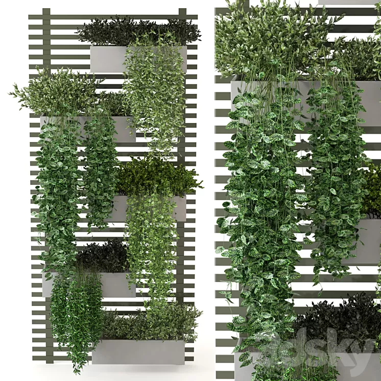 Indoor Plants Collection - Set 393 3D Model Free