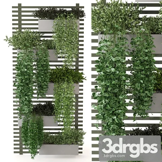 Indoor plants collection - set 393