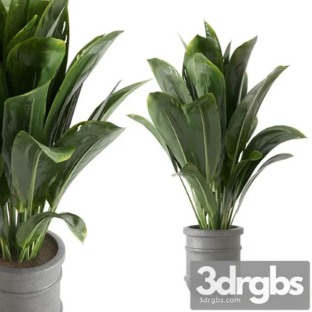 Indoor plants collection - set 412