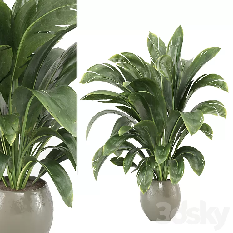 indoor Plants Collection - Set 586 3D Model Free