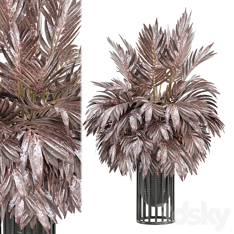 indoor Plants Collection - Set 882 3D Model Free