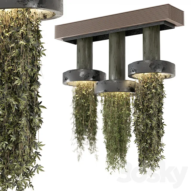 indoor Plants Collection set_12 hanging65 3D Model