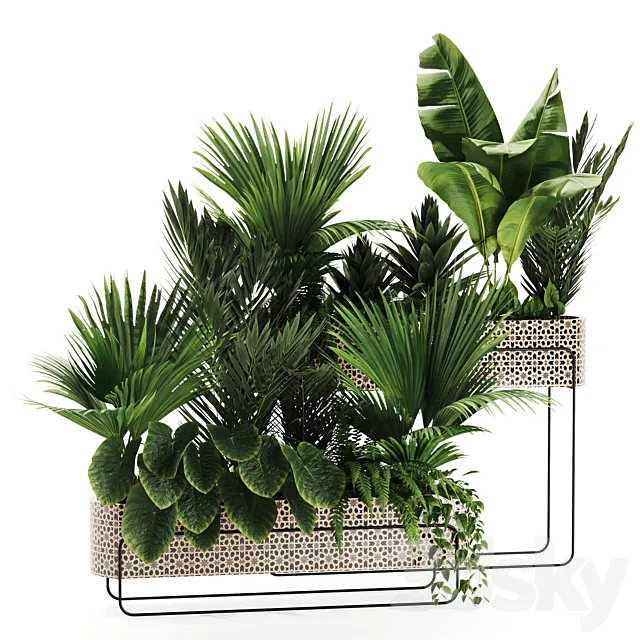 Indoor plants in box set-70 3D Model