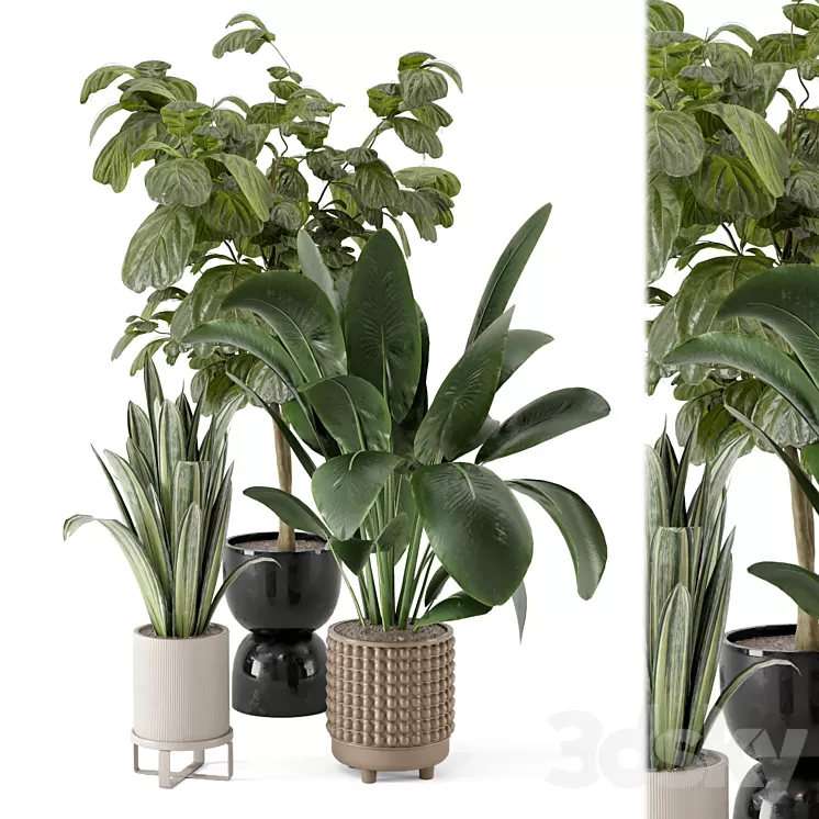 Indoor Plants in Ferm Living Bau Pot Large - Set 1044 3D Model Free