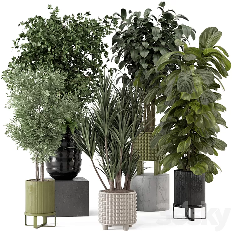Indoor Plants in Ferm Living Bau Pot Large - Set 1053 3D Model Free
