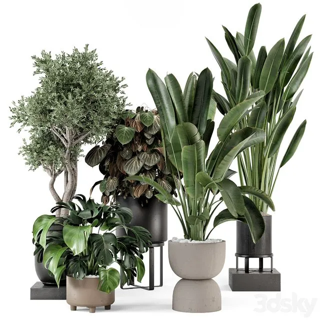 Indoor Plants in Ferm Living Bau Pot Large - Set 1204 3D Model