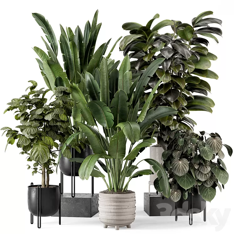 Indoor Plants in Ferm Living Bau Pot Large - Set 1208 3D Model Free