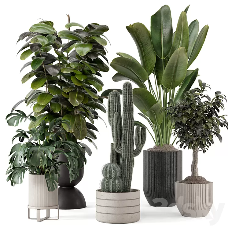 Indoor Plants in Ferm Living Bau Pot Large - Set 1220 3D Model Free
