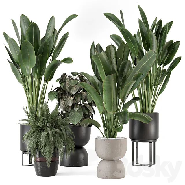 Indoor Plants in Ferm Living Bau Pot Large - Set 1256 3D Model