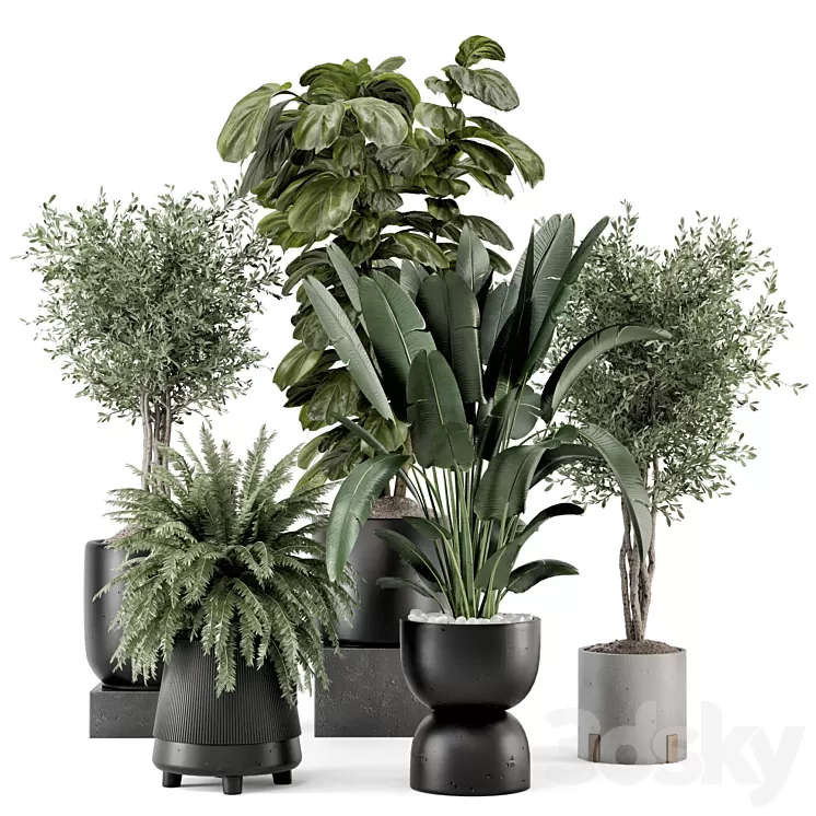 Indoor Plants in Ferm Living Bau Pot Large - Set 1277 3D Model Free