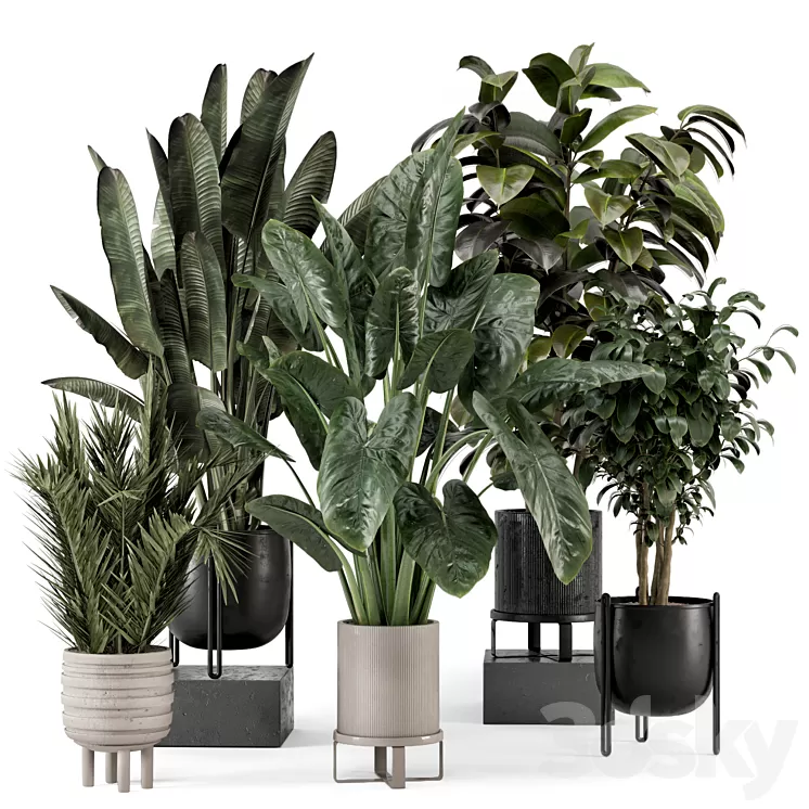 Indoor Plants in Ferm Living Bau Pot Large - Set 1292 3D Model Free