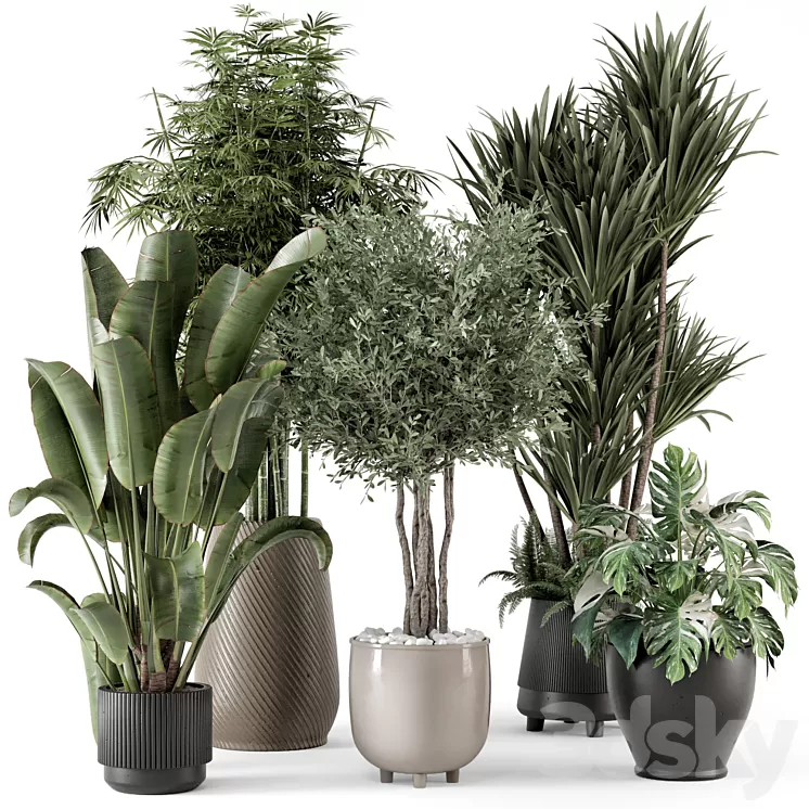 Indoor Plants in Ferm Living Bau Pot Large - Set 1325 3D Model Free