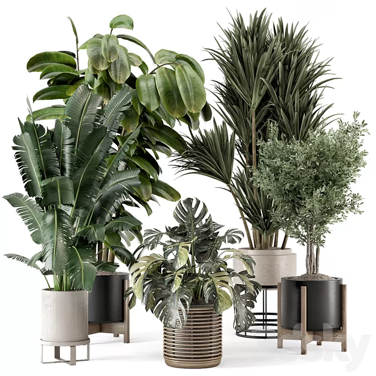 Indoor Plants in Ferm Living Bau Pot Large - Set 1328 3D Model Free