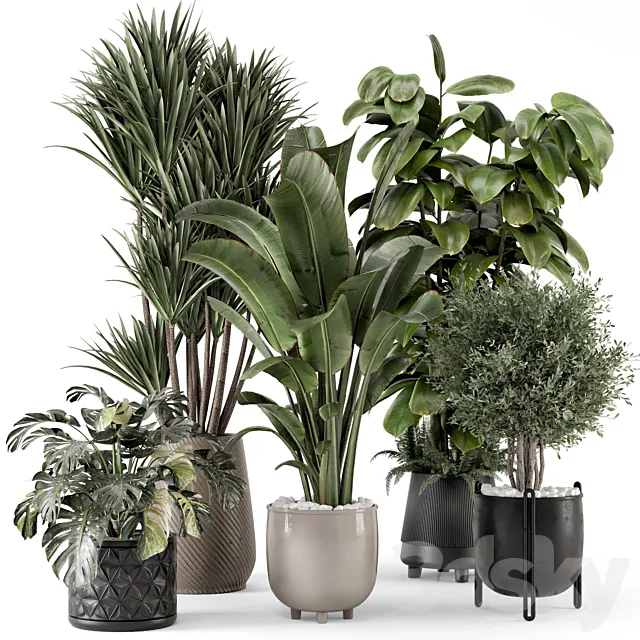 Indoor Plants in Ferm Living Bau Pot Large - Set 1343 3D Model