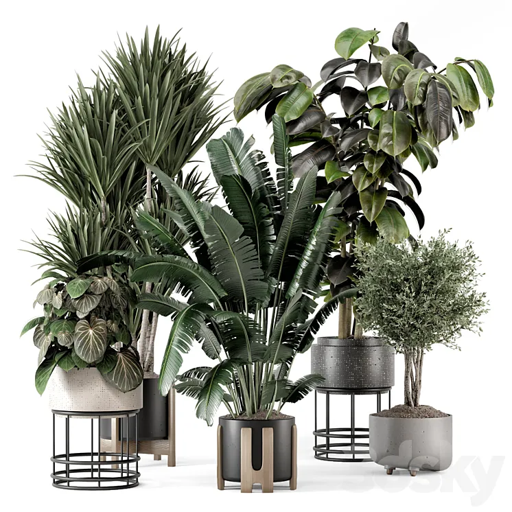 Indoor Plants in Ferm Living Bau Pot Large - Set 1351 3D Model Free
