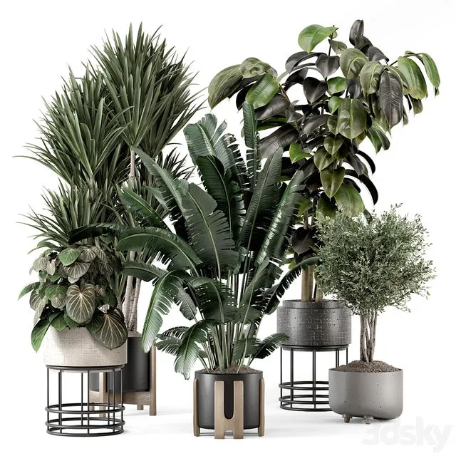 Indoor Plants in Ferm Living Bau Pot Large - Set 1351 3D Model
